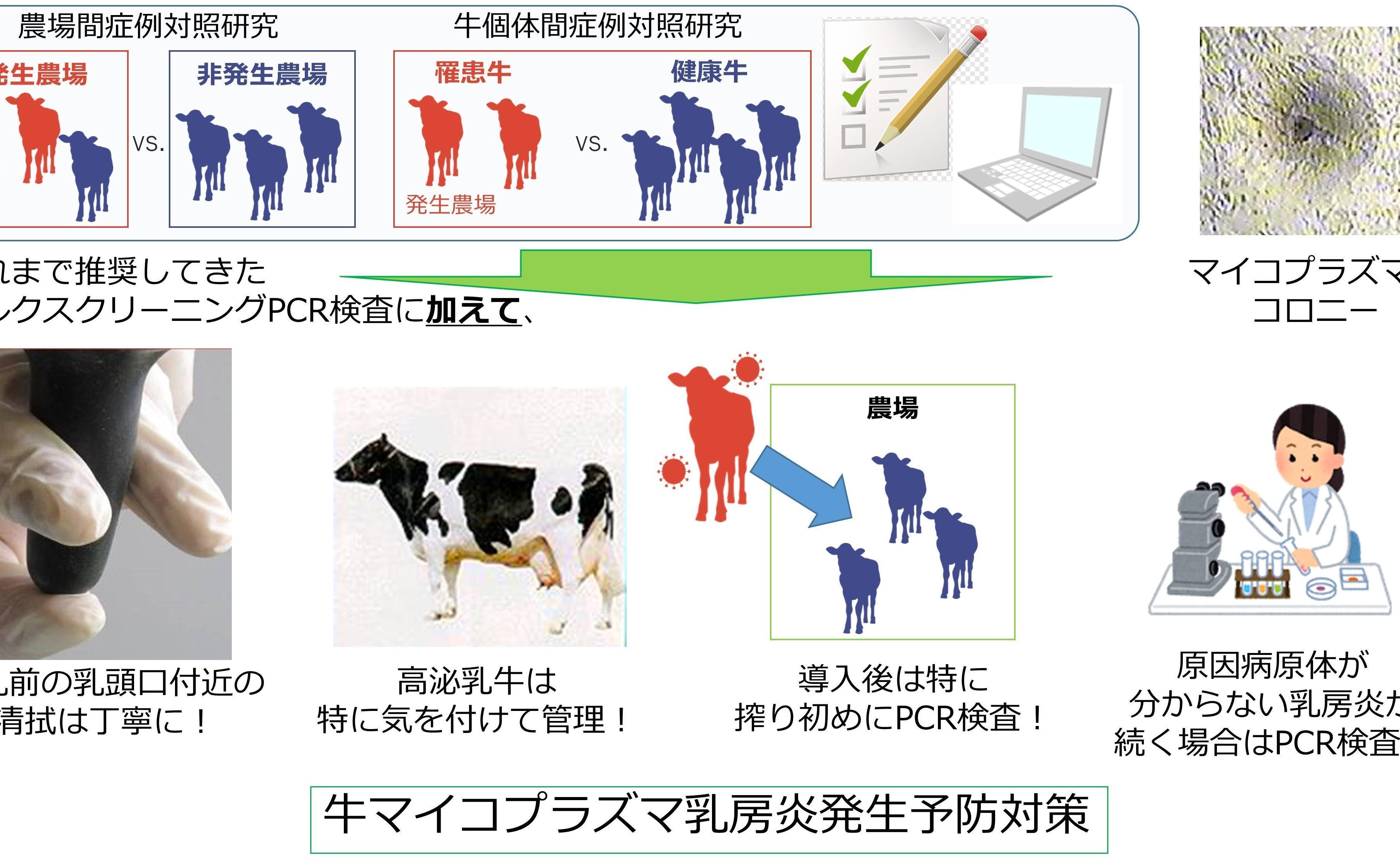 ニュース記事